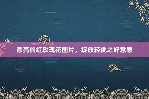 漂亮的红玫瑰花图片，绽放轻佻之好意思