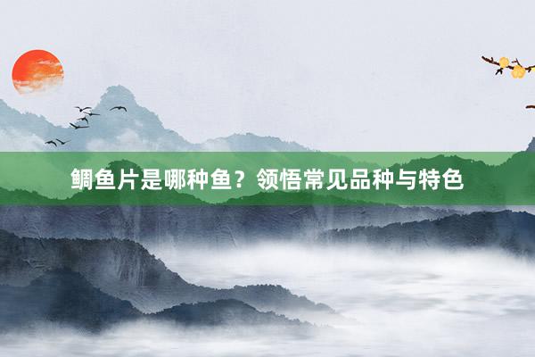 鲷鱼片是哪种鱼?领悟常见品种与特色
